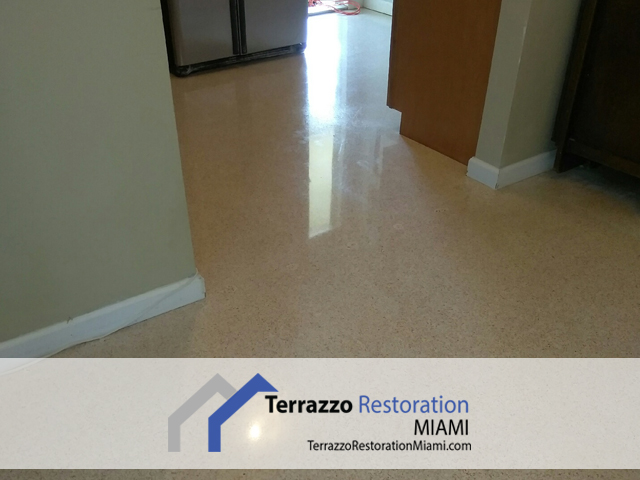 Terrazzo Restoration Process