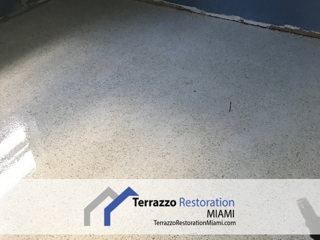 Terrazzo Repair and Polish