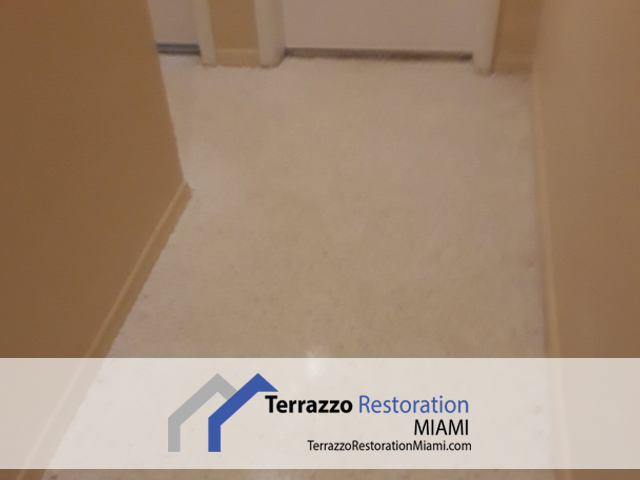 Terrazzo Care Process