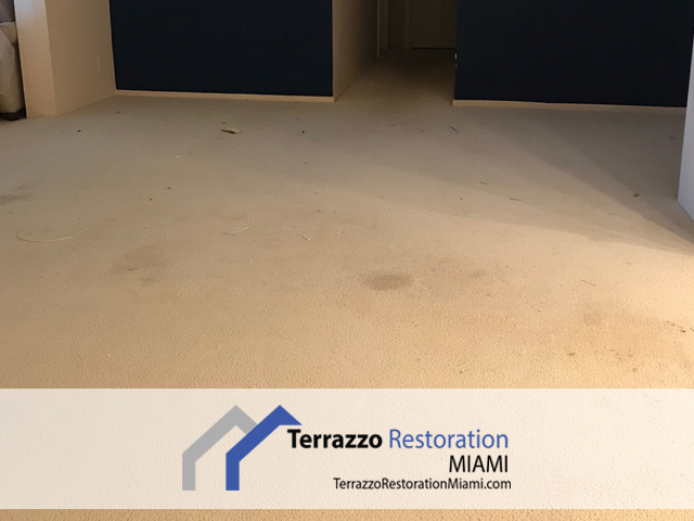 Terrazzo Repair and Polish