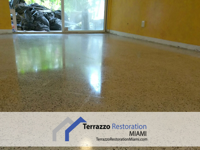 Terrazzo Clean and Polish